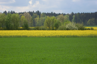 LT 5 Ins Erfatal | © Liebliches Taubertal