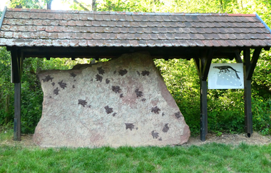 LT 6 Wasser.Wein.Weite. | © Liebliches Taubertal