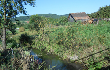LT 7 Muschelkalk und Orchideen | © Liebliches Taubertal