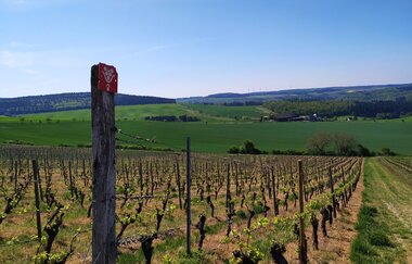 LT-M1 - Auf den Spuren der Zisterzienser | © Unbekannt