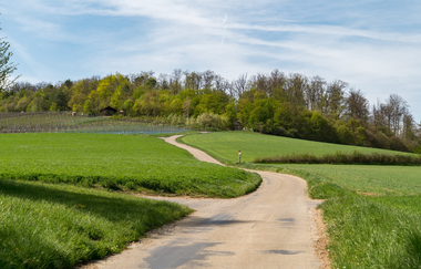 LT17: Kur und Wein | © Stadt Bad Mergentheim