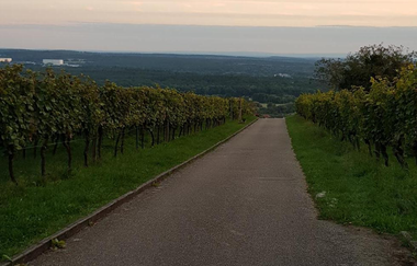 Madonnen, Weinberge, Streuobstwiesen, Wallfahrtskapelle: Rundtour Bad Schönborn - Malsch | © Land der 1000 Hügel - Kraichgau-Stromberg