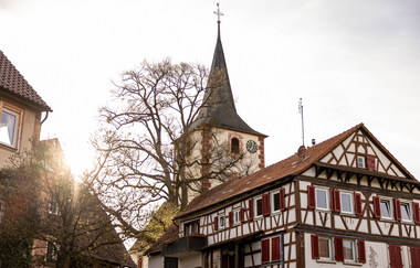 Mandelblüten Gravel-Tour Kraichgau-Stromberg | © Land der 1000 Hügel - Kraichgau-Stromberg