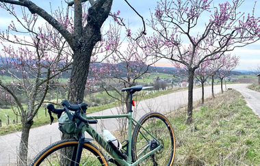 Mandelblüten Gravel-Tour Kraichgau-Stromberg | © Land der 1000 Hügel - Kraichgau-Stromberg