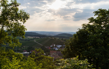 Mandelblüten Gravel-Tour Kraichgau-Stromberg | © Land der 1000 Hügel - Kraichgau-Stromberg