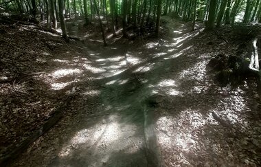Maulwurf -Trail
