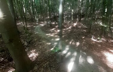 Maulwurf -Trail