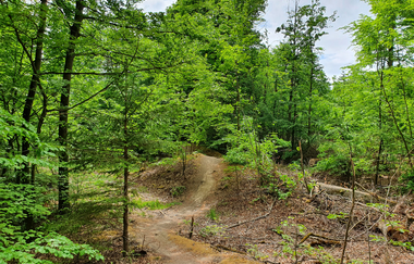 MB2 - Kultur, Natur & Eppinger Linien - Wander3Klang mittlere Runde | © Stadt Maulbronn