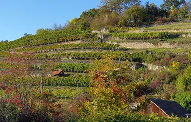 MB6 - Klosterweinweg - Rundwanderweg um das Kloster | © Stadt Maulbronn