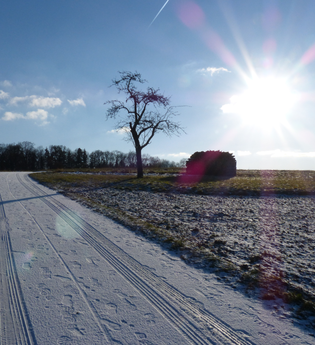 Milchsäules-Rundweg | © Land der 1000 Hügel - Kraichgau-Stromberg