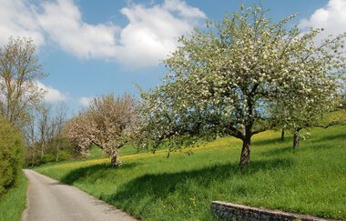 MÜ3 - Wander3klang - Mühlacker -  kurze Strecke | © Stadt Mühlacker