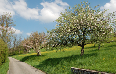 MÜ3 - Wander3klang - Mühlacker -  kurze Strecke | © Stadt Mühlacker