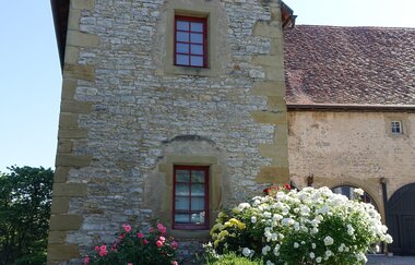 N2 Von der Neckarburg zum Liebensteiner Schlossberg | © Neckar-Zaber-Tourismus e.V.