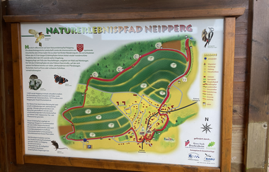 Naturerlebnispfad Neipperg | © Stadt Brackenheim | Celina Ponto