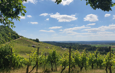 Naturpark Tour 1 - Hochberg Tour - Mit dem Gravelbike im Kraichgau-Stromberg | © Naturpark Stromberg-Heuchelberg