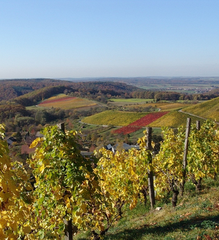 Naturpark Tour 2 - Streitbach Tour - Mit dem Gravelbike im Kraichgau-Stromberg | © Land der 1000 Hügel - Kraichgau-Stromberg