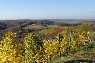 Naturpark Tour 2 - Streitbach Tour - Mit dem Gravelbike im Kraichgau-Stromberg | © Land der 1000 Hügel - Kraichgau-Stromberg