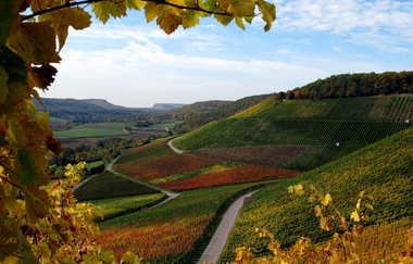 Naturpark Tour 2 - Streitbach Tour - Mit dem Gravelbike im Kraichgau-Stromberg | © Naturpark Stromberg-Heuchelberg