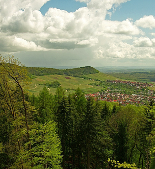 Naturpark Tour 5 - Baiselsberg Tour - Mit dem Gravelbike im Kraichgau-Stromberg | © Naturpark Stromberg-Heuchelberg