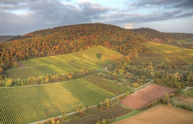 Naturpark Tour 5 - Baiselsberg Tour - Mit dem Gravelbike im Kraichgau-Stromberg | © Naturpark Stromberg-Heuchelberg