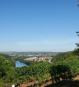 Neckarschleifen-Steillagenrunden: Gemmrigheimer Steillagenrunde | © Land der 1000 Hügel - Kraichgau-Stromberg