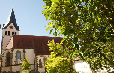 Neckarschleifen-Steillagenrunden: Gemmrigheimer Steillagenrunde | © Land der 1000 Hügel - Kraichgau-Stromberg