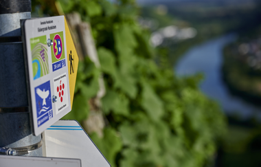 Neckarschleifen-Steillagenrunden: Käsbergrunde Mundelsheim | © Kraichgau-Stromberg Tourismus e.V.