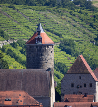 Neckarschleifen-Steillagenrunden: Panoramarunde Niedernberg | © Achim Mende