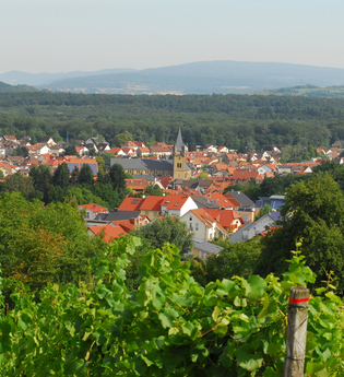 Ö2 - Rundwanderweg Östringen | © Land der 1000 Hügel - Kraichgau-Stromberg