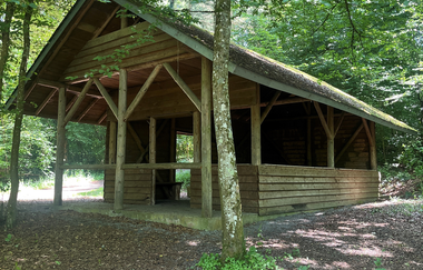 Ö3 - Östringer Wald & Hügel Rundwanderweg