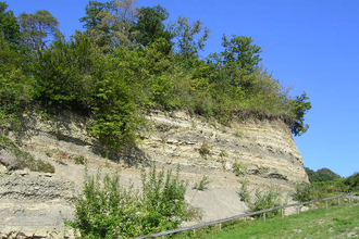 OD1 - Amthof Tour | © Gemeinde Oberderdingen