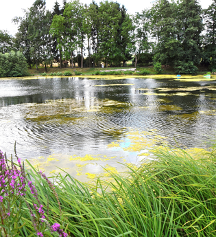 ÖD1 - Weinberg-Seen-Tour (große Rundtour) | © Frank Finsterle