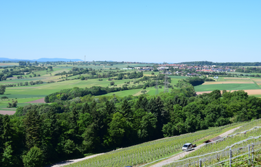 ÖD1 - Weinberg-Seen-Tour (große Rundtour) | © Frank Finsterle