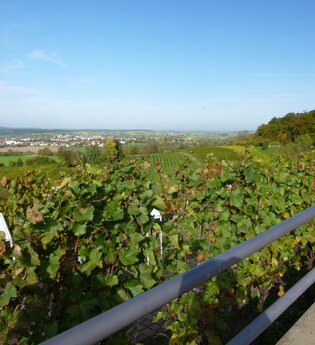 OD2 - Derdinger Horn Tour | © Gemeinde Oberderdingen