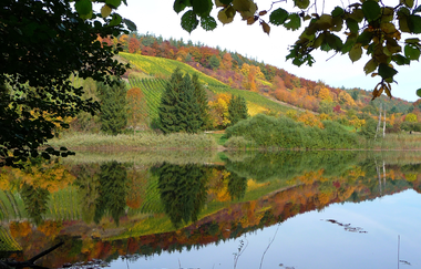 OD3 - Bernhardsweiher Tour