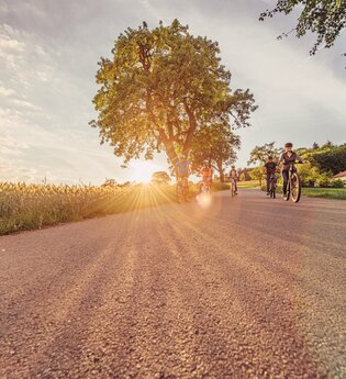Radfahrer radeln auf einem asphaltierten Radweg bei Sonnenuntergang am Katzenbuckel, der höchsten Erhebung im Odenwald. Im Hintergrund ist ein Gebäude zu sehen. | © Touristikgemeinschaft Odenwald e.V.
