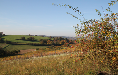 ÖkoRegio Tour Streuobst und Fernblick NaBu Kraichtal-Bahnbrücken (Kurzroute) | © Stadtmarketing Kraichtal
