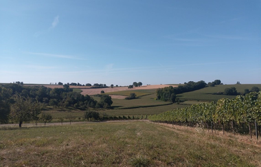 ÖkoRegio Tour Streuobst und Fernblick NaBu Kraichtal-Bahnbrücken (Kurzroute) | © Land der 1000 Hügel - Kraichgau-Stromberg