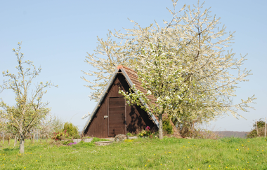 Panoramaweg Kraichbachtal Kraichtal IVV - Besenhex (Langroute) | © Stadtmarketing Kraichtal