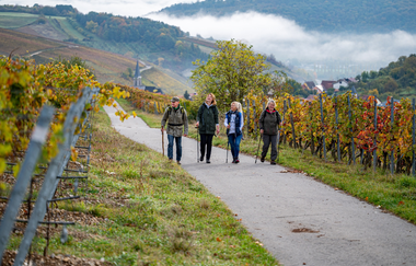 Panoramaweg Taubertal 1. Etappe | © Liebliches Taubertal