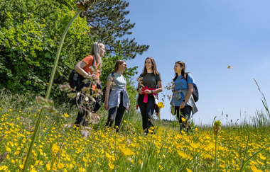 Panoramaweg Taubertal  3. Etappe | © Liebliches Taubertal