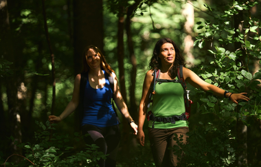 Panoramaweg Taubertal  4. Etappe | © Liebliches Taubertal