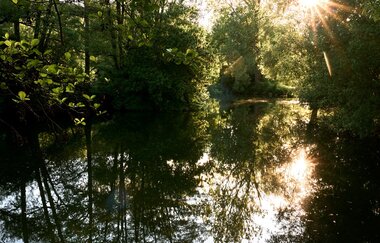 Panoramaweg Taubertal  5. Etappe | © Liebliches Taubertal