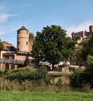 Panoramaweg Taubertal  8. Etappe | © Liebliches Taubertal
