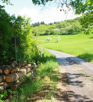 Wander3Klang Pfaffenhofen | HeilbronnerLand | © Neckar-Zaber-Tourismus