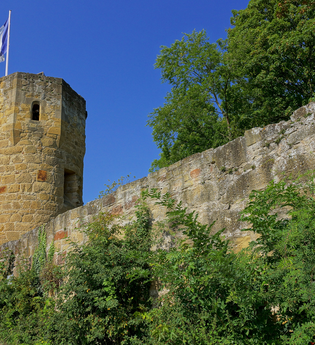 Radweg "Burgenstraße" | © Touristikgemeinschaft HeilbronnerLand e.V.