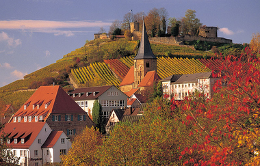 Radweg "Burgenstraße" | © Touristikgemeinschaft HeilbronnerLand e.V.