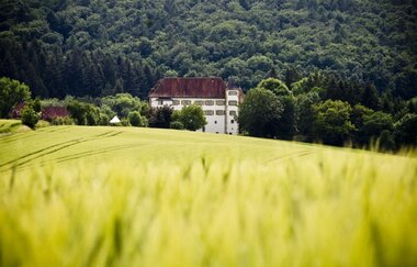 Radweg Sinsheim - Ehrstädt - Schloss Neuhaus - Ehrstädt (Radtour Sinsheim Nr. 18) | © Stadt Sinsheim