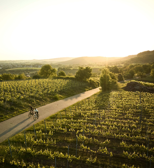 Rennrad-Achter zwischen Horn und Michaelsberg | © Tourimia Tourismus GmbH | Stefan Leitner Photography