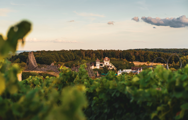 Ausblick auf den Erlebnispark Tripsdrill | © Touristikgemeinschaft HeilbronnerLand e.V.
